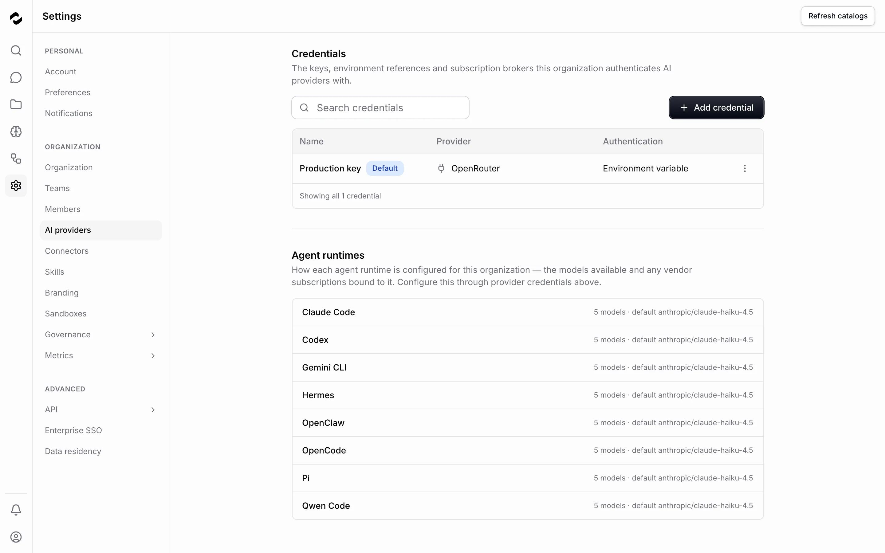The AI providers settings page lists connected provider credentials.
